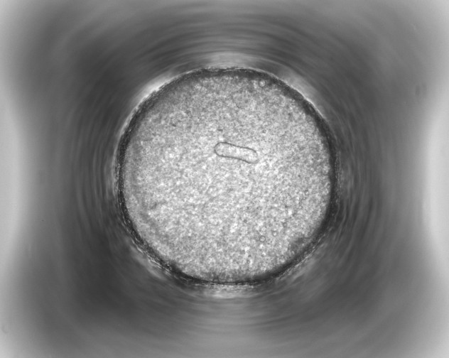 X0000084540832200703161626