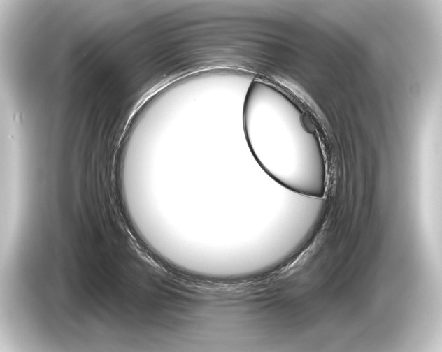 X0000084540834200703161626