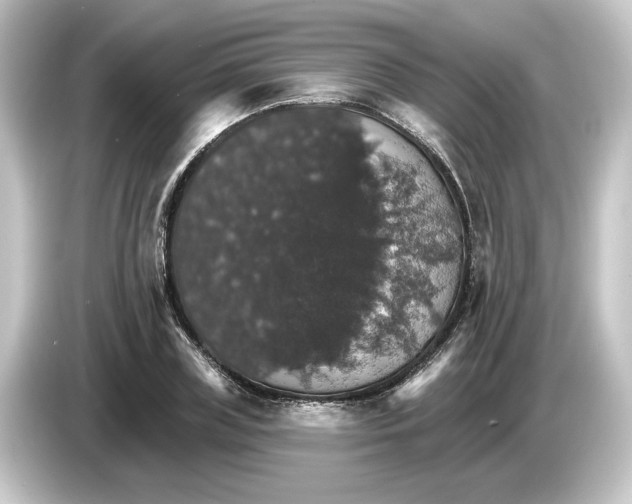 X0000084540835200703161626