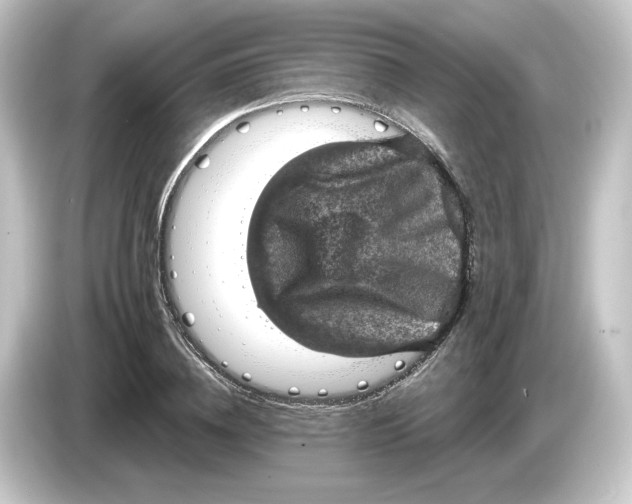 X0000084540836200703161626