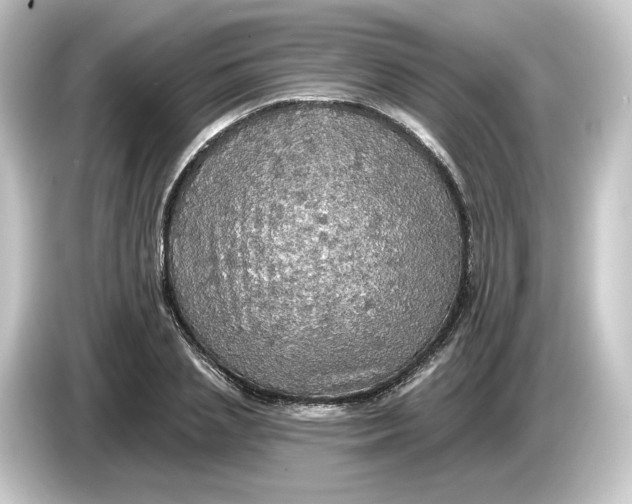 X0000084540837200703161626