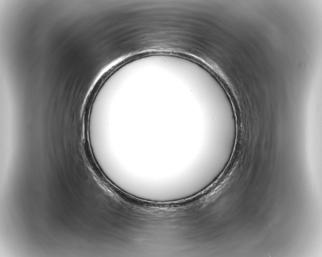 X0000084540838200703161626