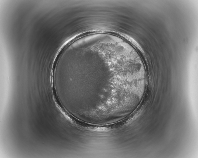 X0000084540839200703161626