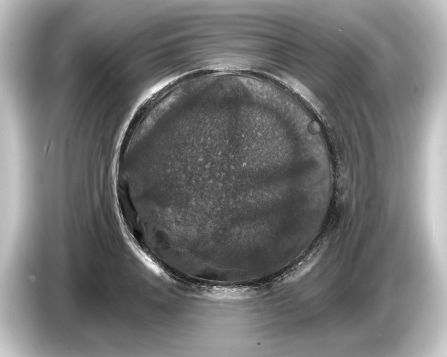 X0000084540840200703161626