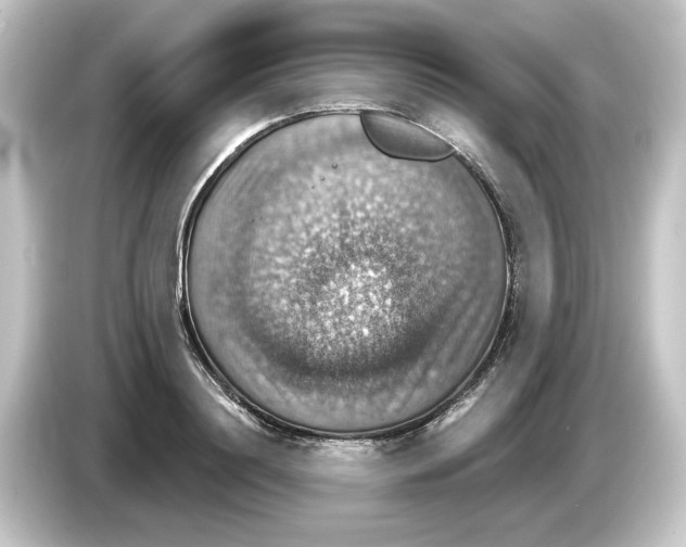 X0000084540844200703161626