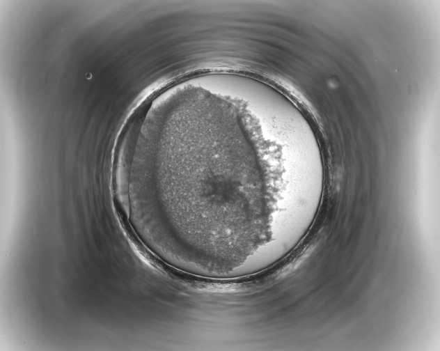 X0000084540845200703161626