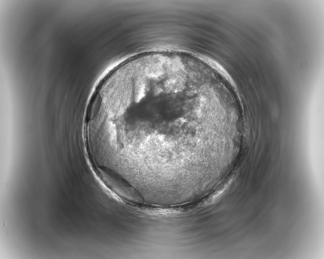 X0000084540847200703161626