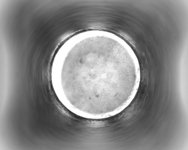 X0000084540848200703161626