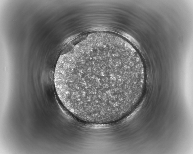 X0000084540849200703161626