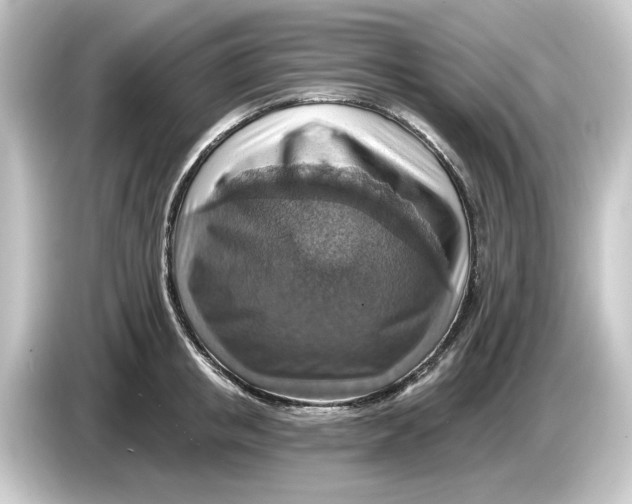 X0000084540853200703161626