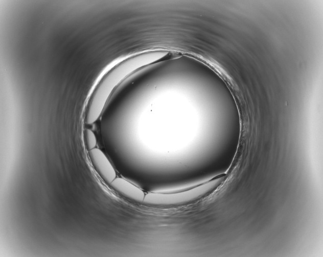 X0000084540854200703161626