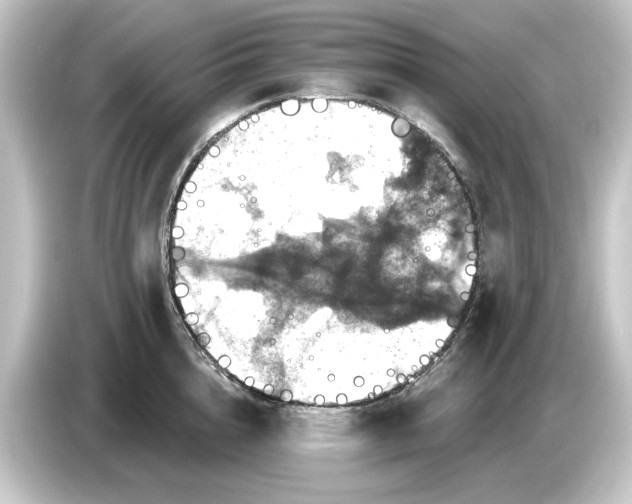 X0000084540856200703161626