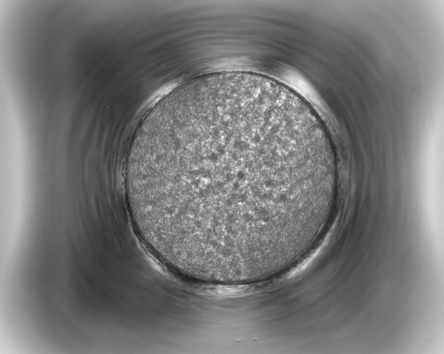 X0000084540857200703161626