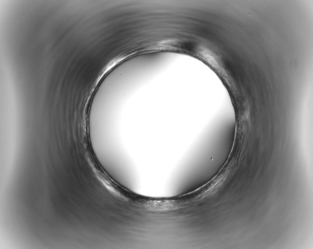 X0000084540858200703161626