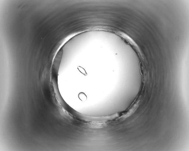 X0000084540860200703161627