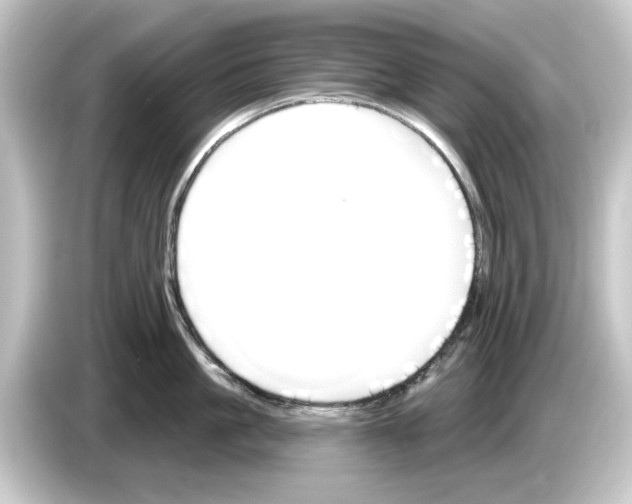 X0000084540861200703161627