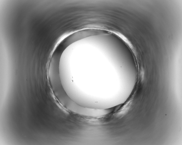 X0000084540862200703161627