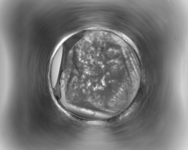 X0000084540863200703161627