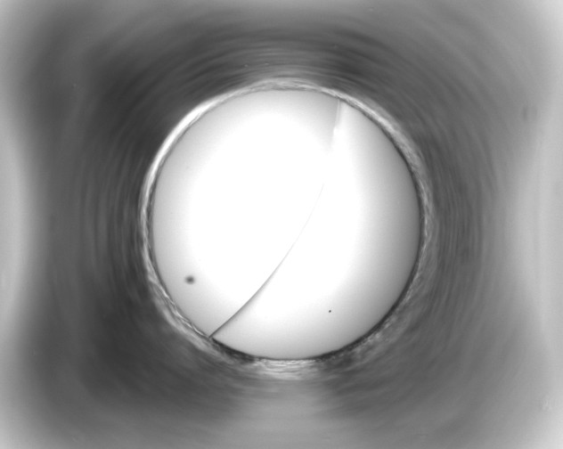 X0000084540864200703161627