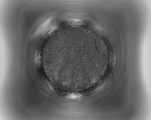 X0000084540866200703161626