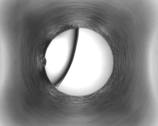 X0000084540868200703161626