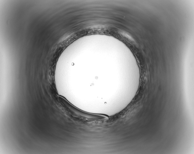 X0000084540869200703161626