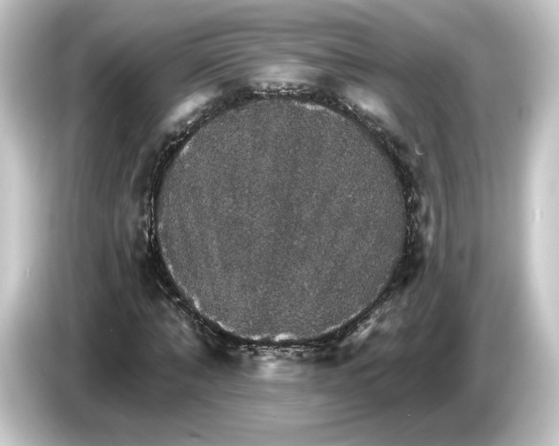 X0000084540870200703161626