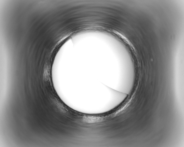 X0000084540873200703161626