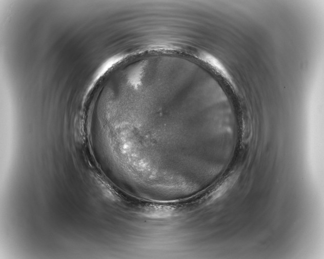 X0000084540878200703161626