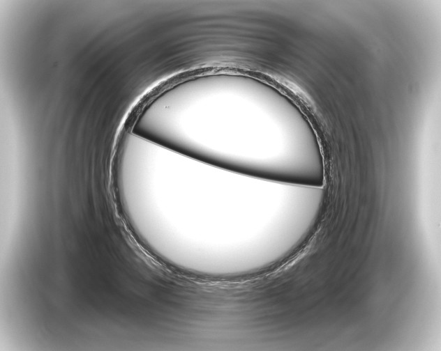 X0000084540880200703161626