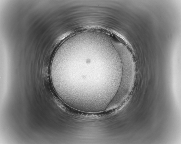 X0000084540881200703161626