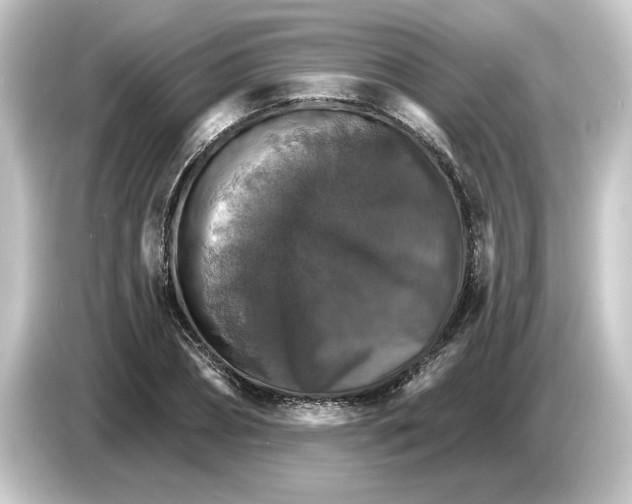 X0000084540882200703161626