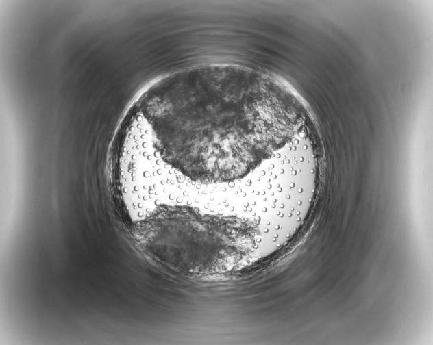 X0000084540883200703161626