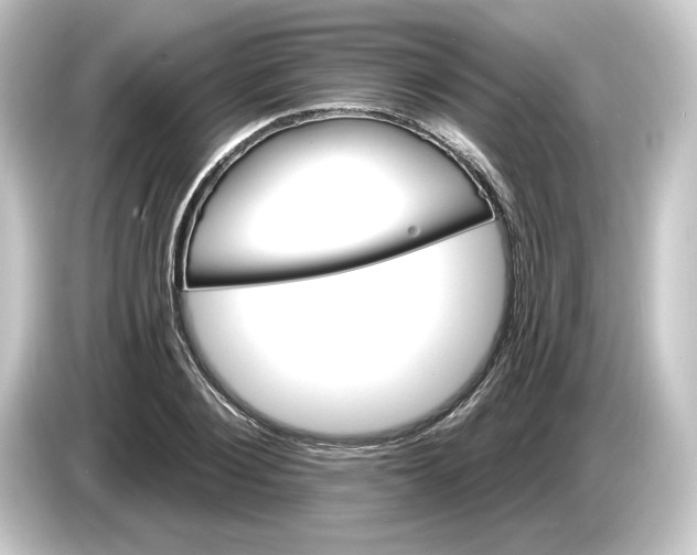 X0000084540884200703161626