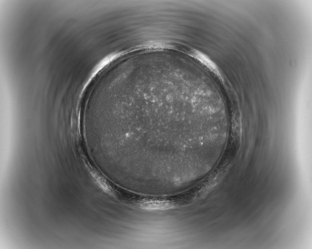 X0000084540886200703161626