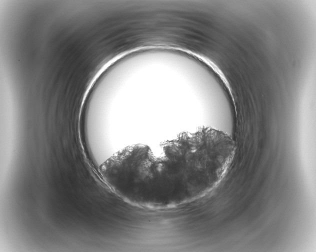 X0000084540887200703161626