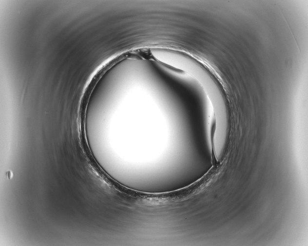 X0000084540888200703161626