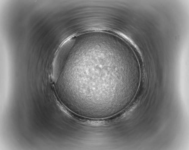 X0000084540889200703161626