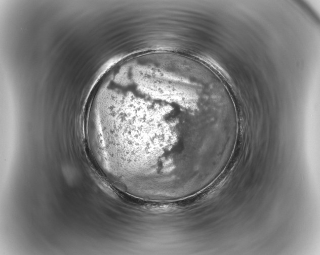 X0000084540891200703161626