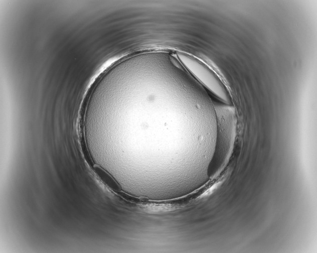 X0000084540893200703161626