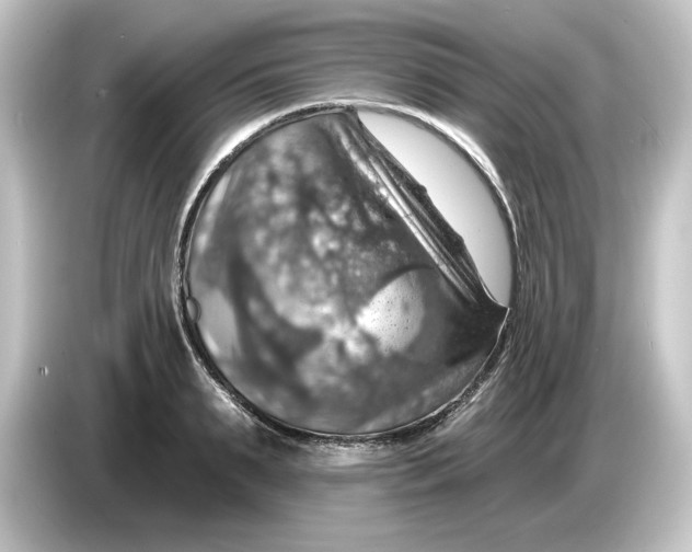 X0000084540895200703161626