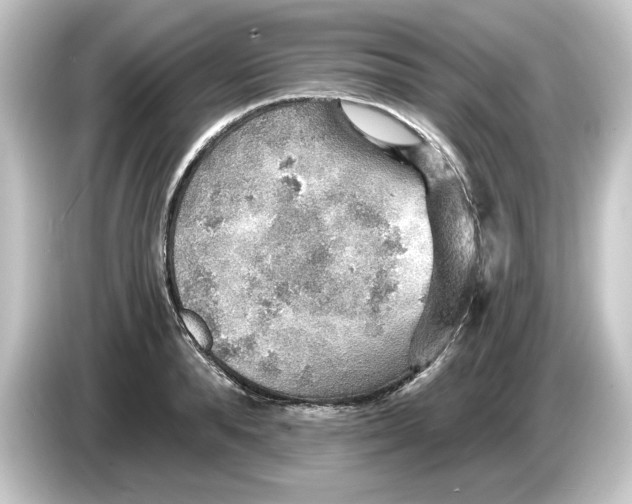 X0000084540896200703161626