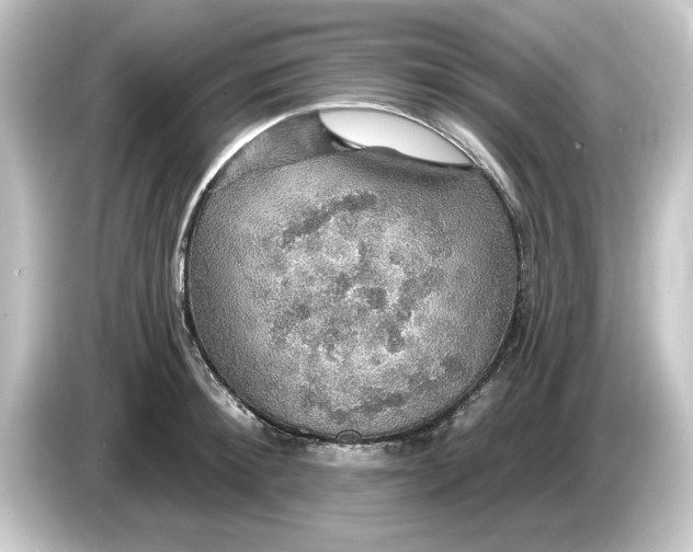 X0000084540900200703161626