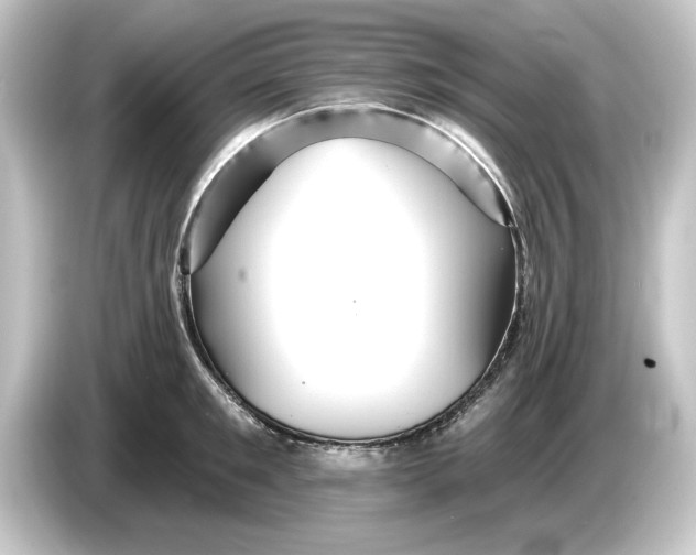 X0000084540901200703161626