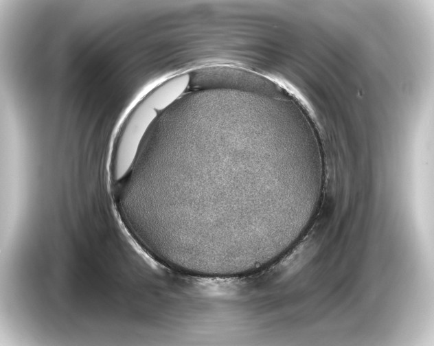 X0000084540902200703161625