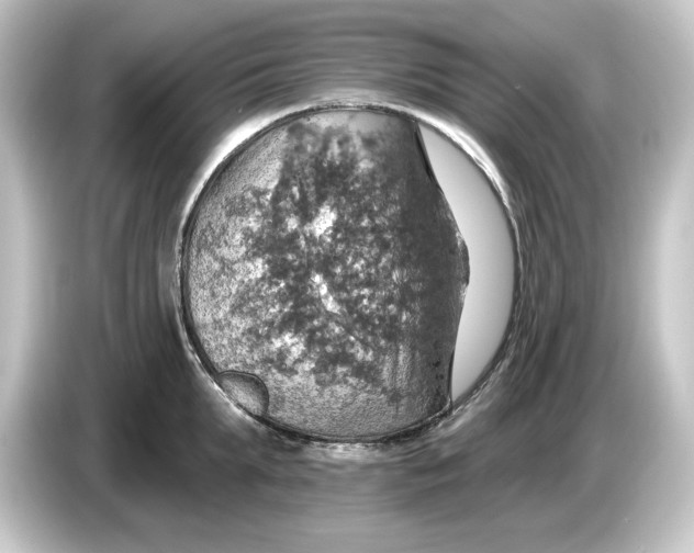 X0000084540903200703161625