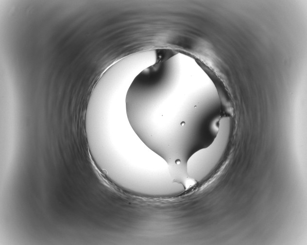 X0000084540905200703161625