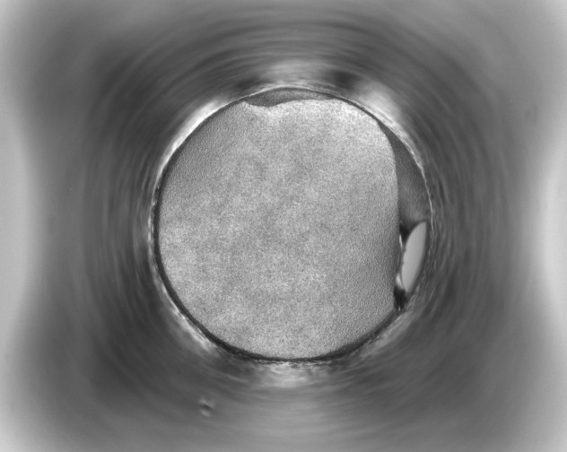 X0000084540906200703161625