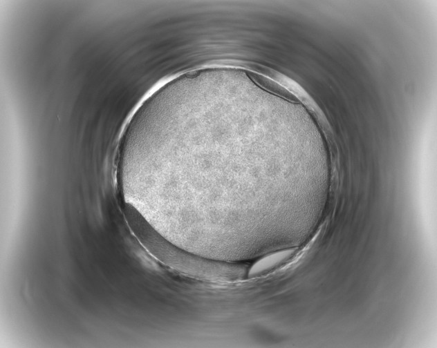 X0000084540908200703161625