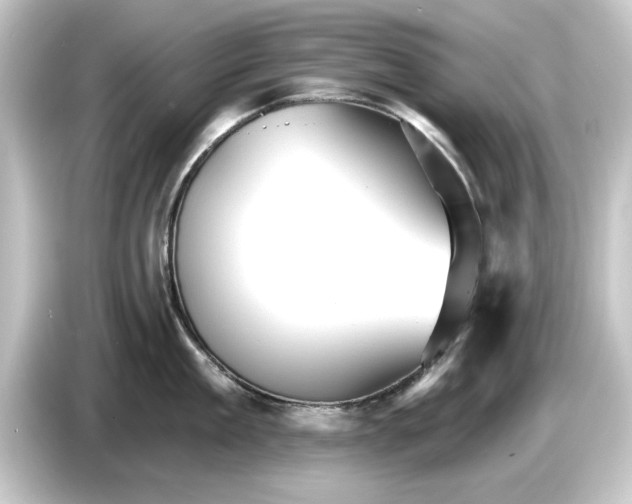 X0000084540909200703161625